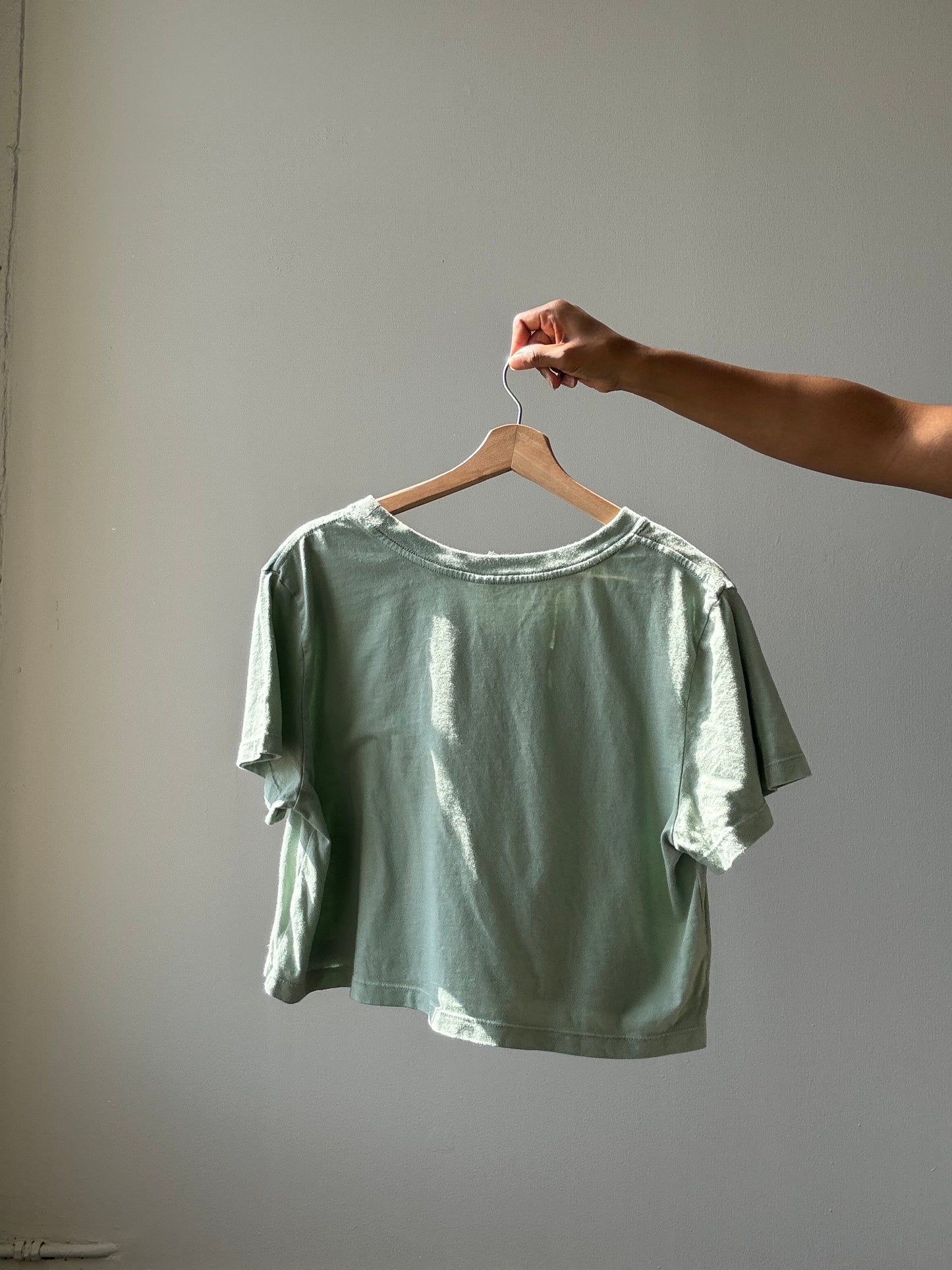 Dylan Classic Cotton Crop Tee In Sage