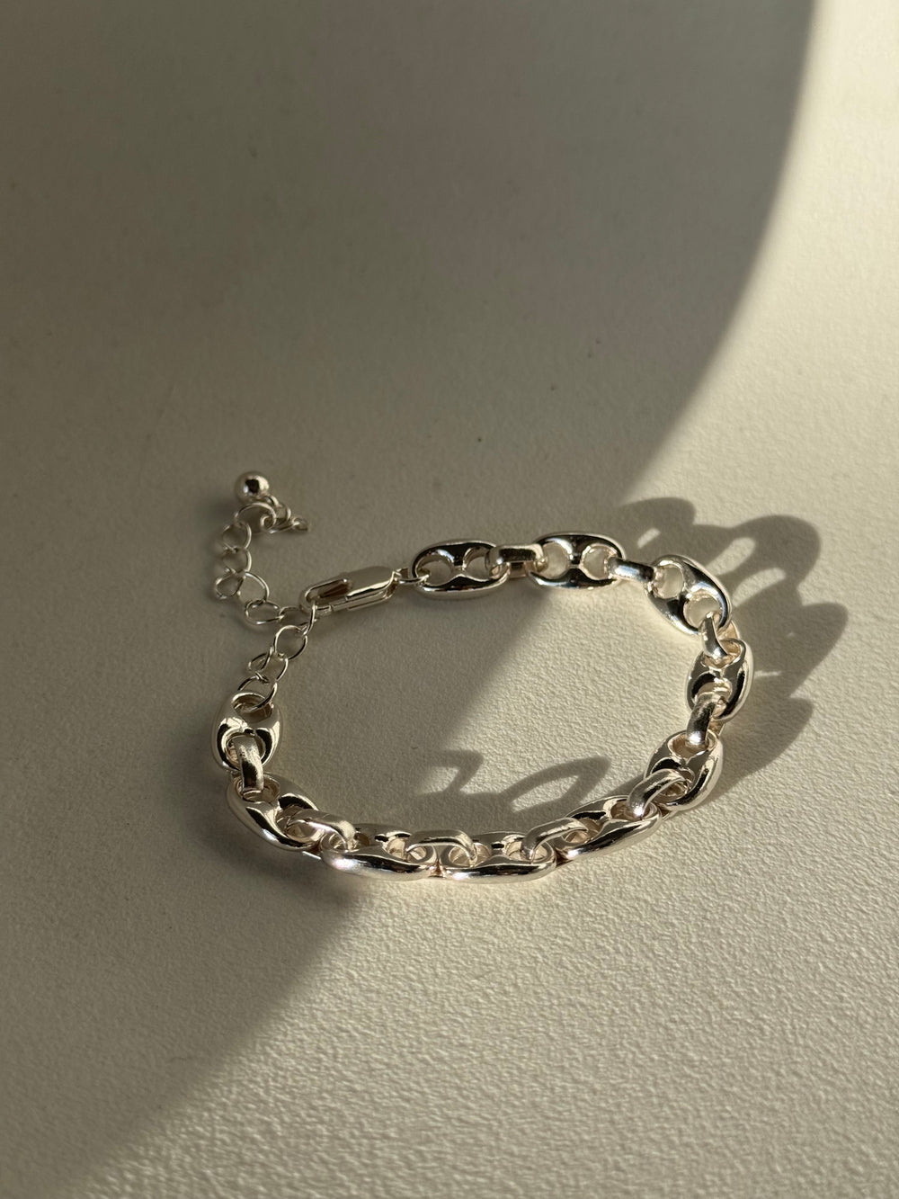 Reagan Chain Link Bracelet In Silver