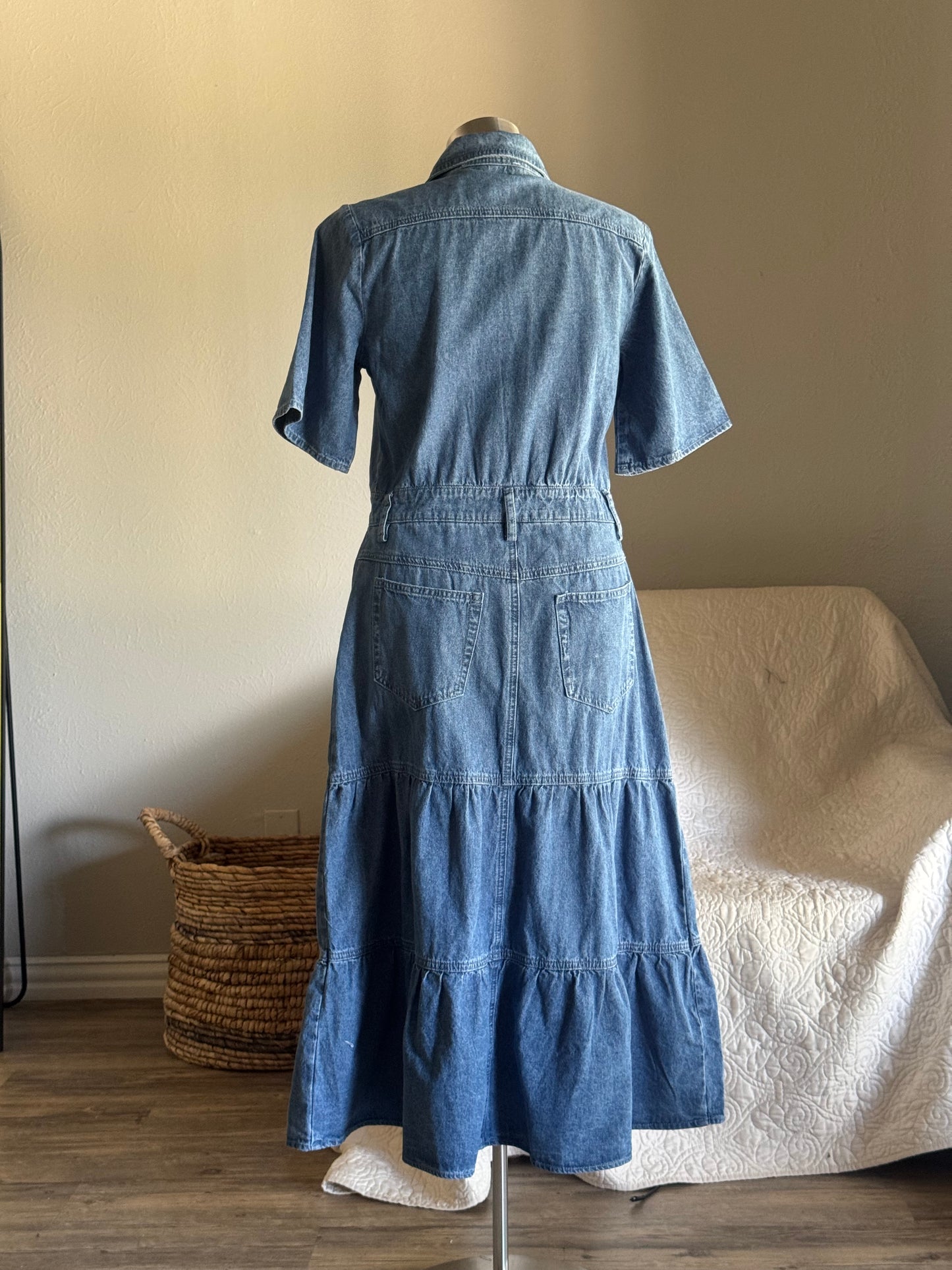 Phyllis Classic Button Front Denim Maxi Dress
