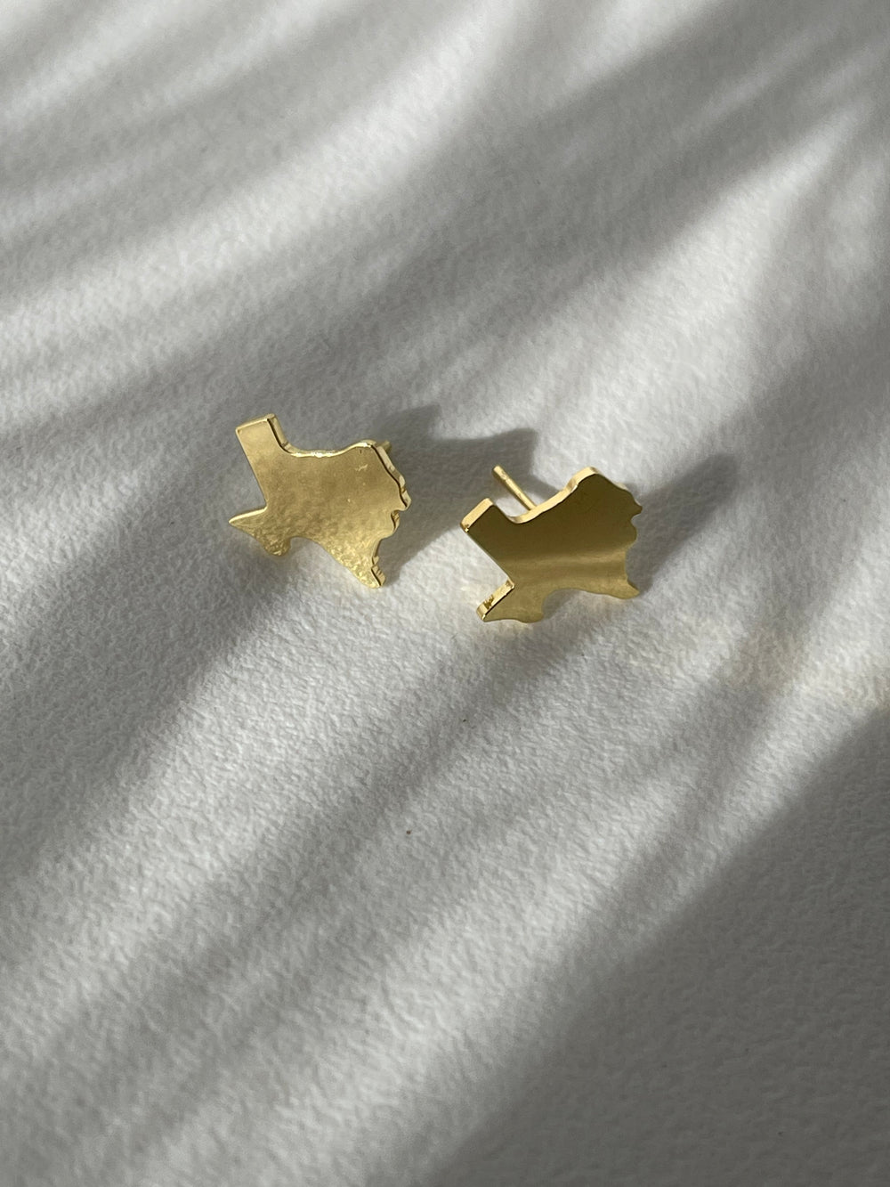Texas Mirror Statement Earring In Gold