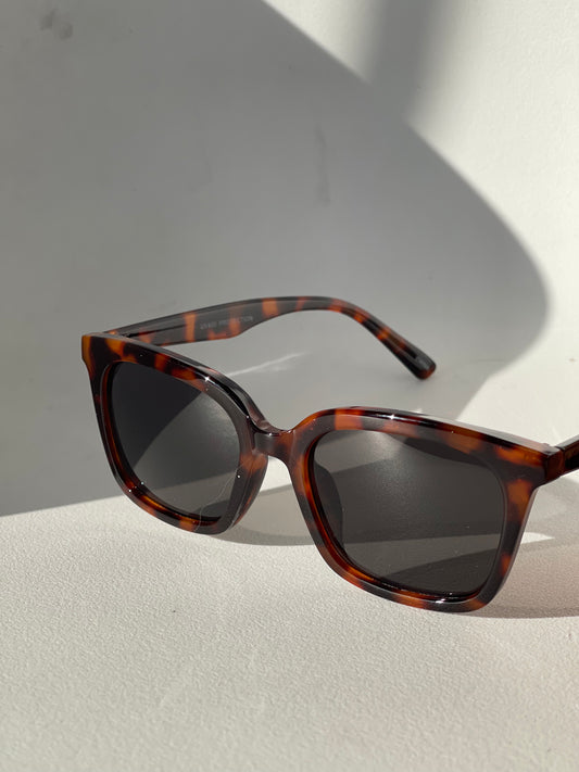 Caige Classics Sunglasses In Tortoise