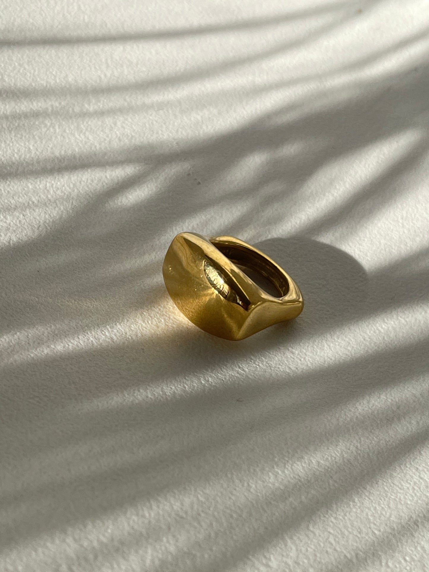 Sawyer Stainless Steel Ring In 18k Gold Plated