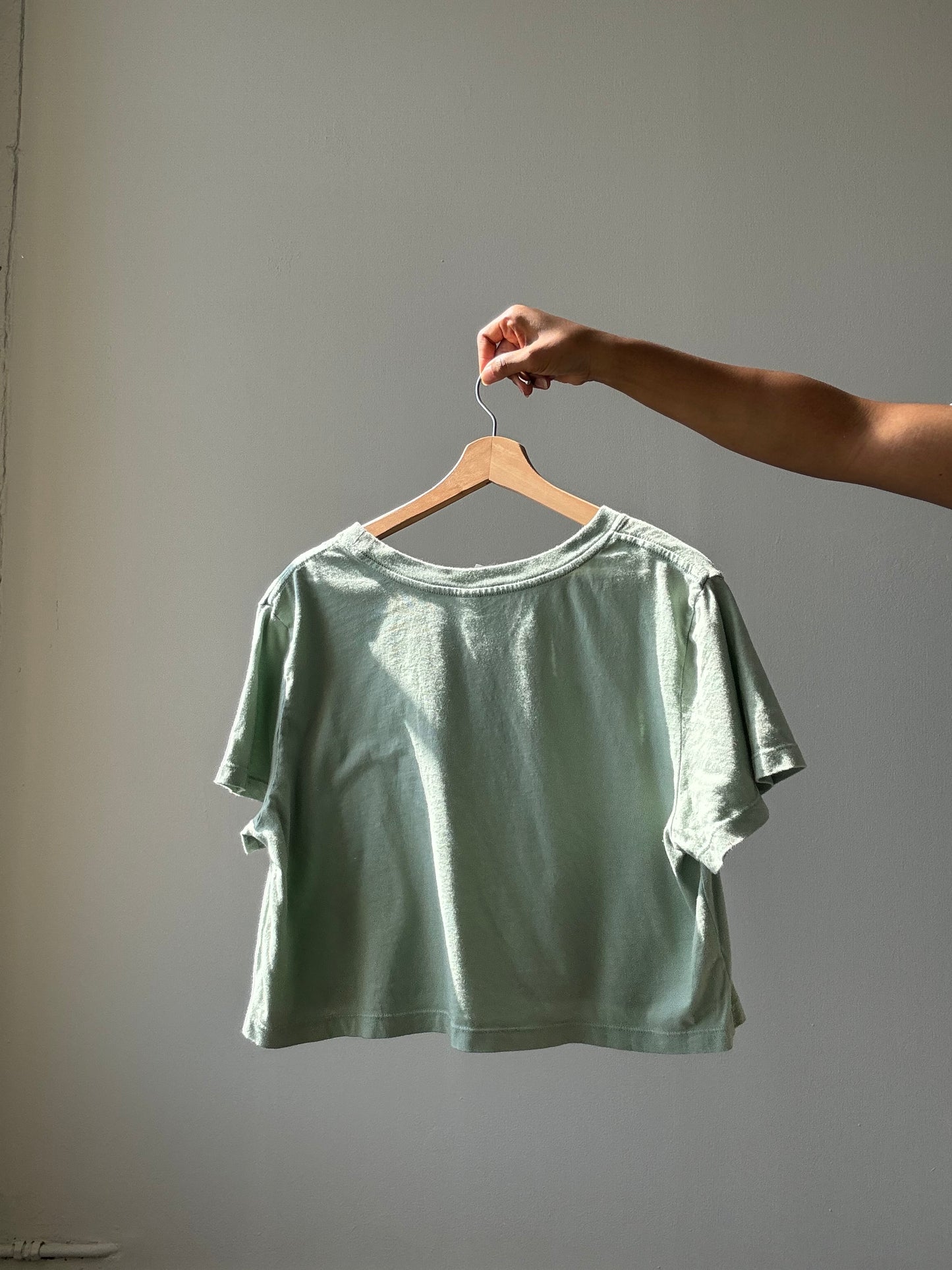 Dylan Classic Cotton Crop Tee In Sage