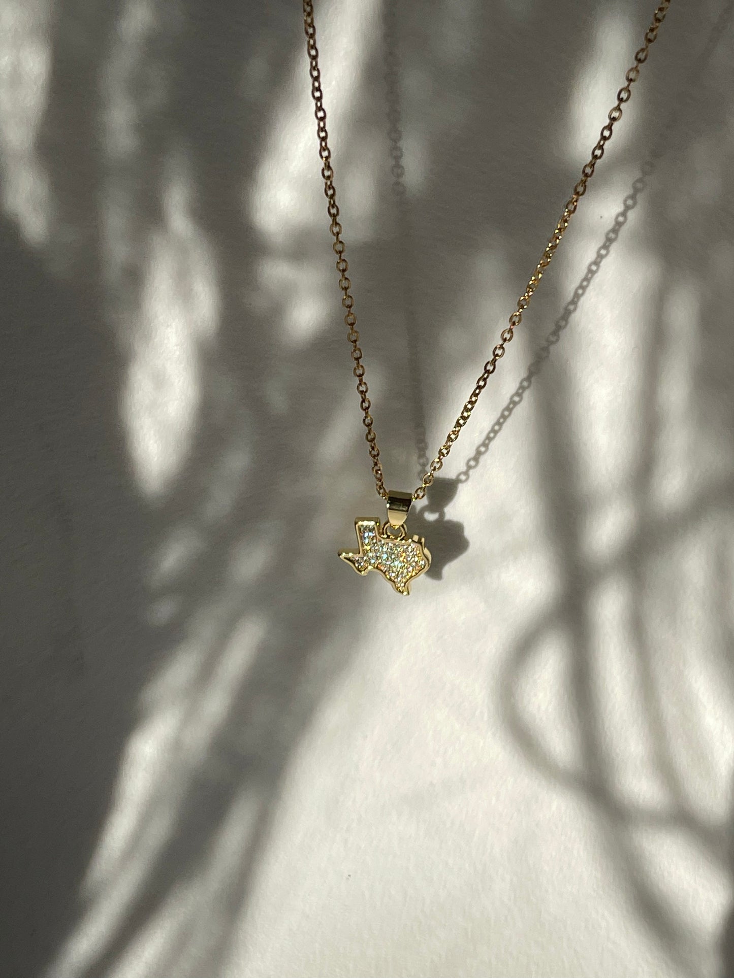 Crystal Stainless Steel Texas Charm Necklace In Gold