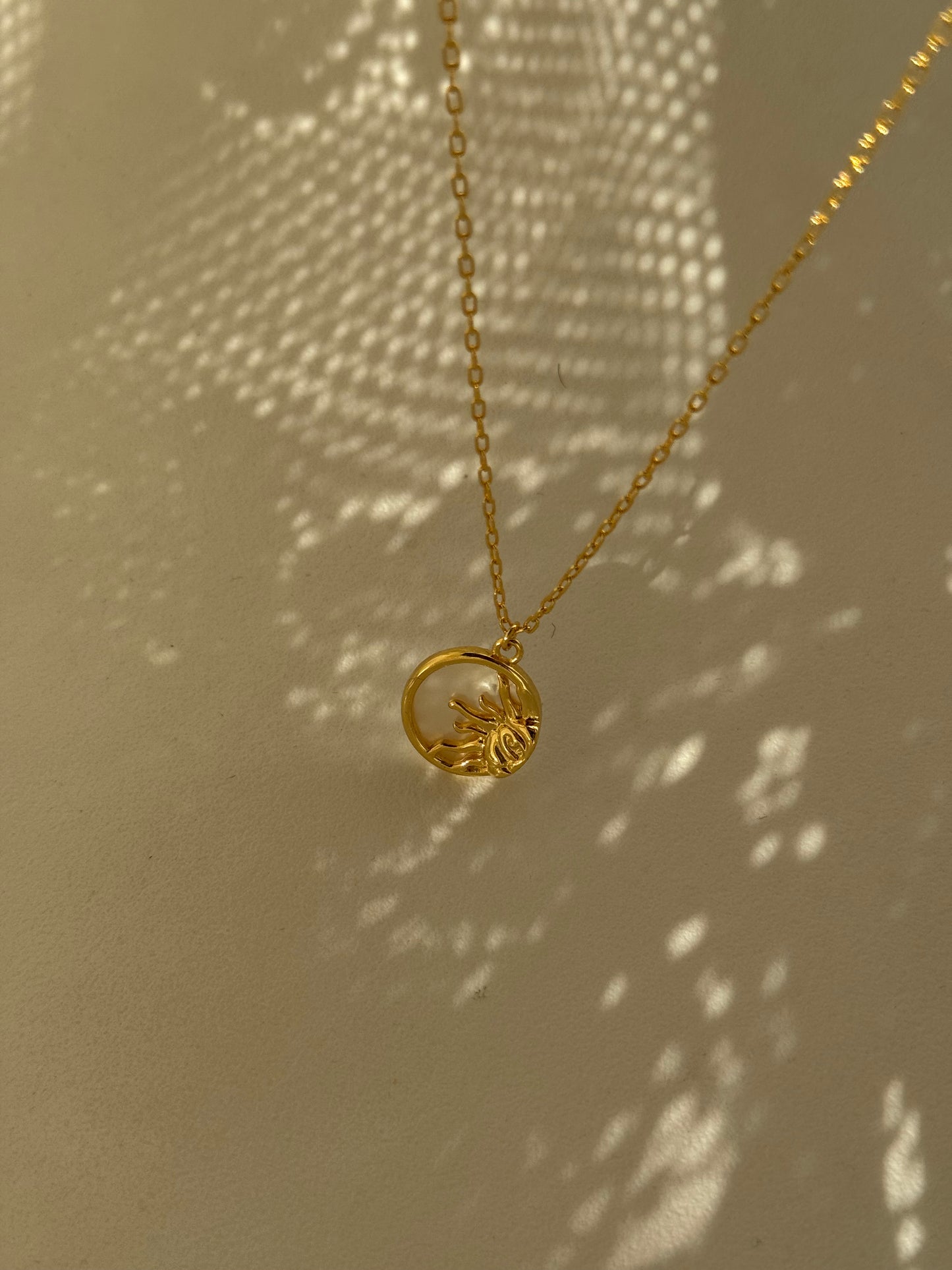 Texas Sun & Mother Of Pearl Charm Necklace In Gold