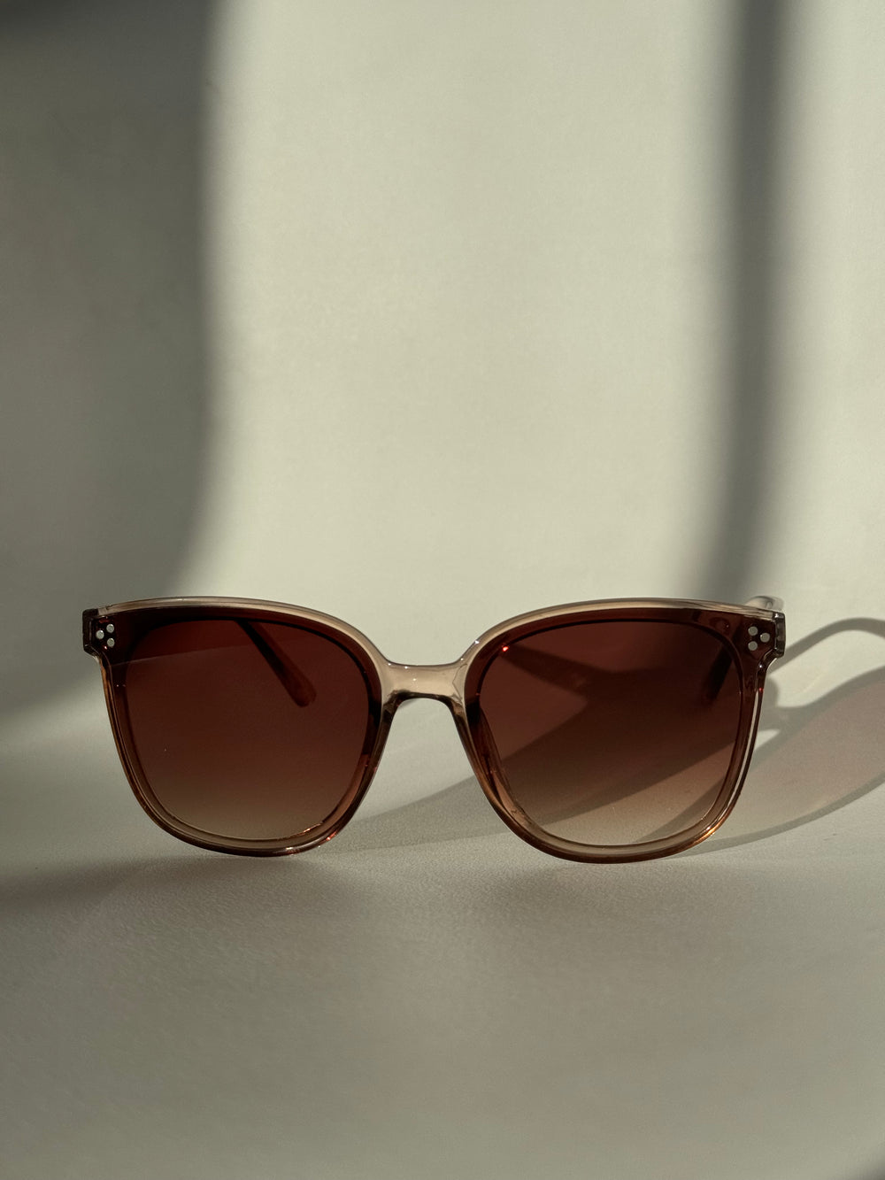 Dave Tri Stud Classic Sunglasses In Coffee