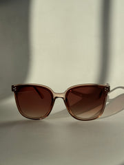 Dave Tri Stud Classic Sunglasses In Coffee