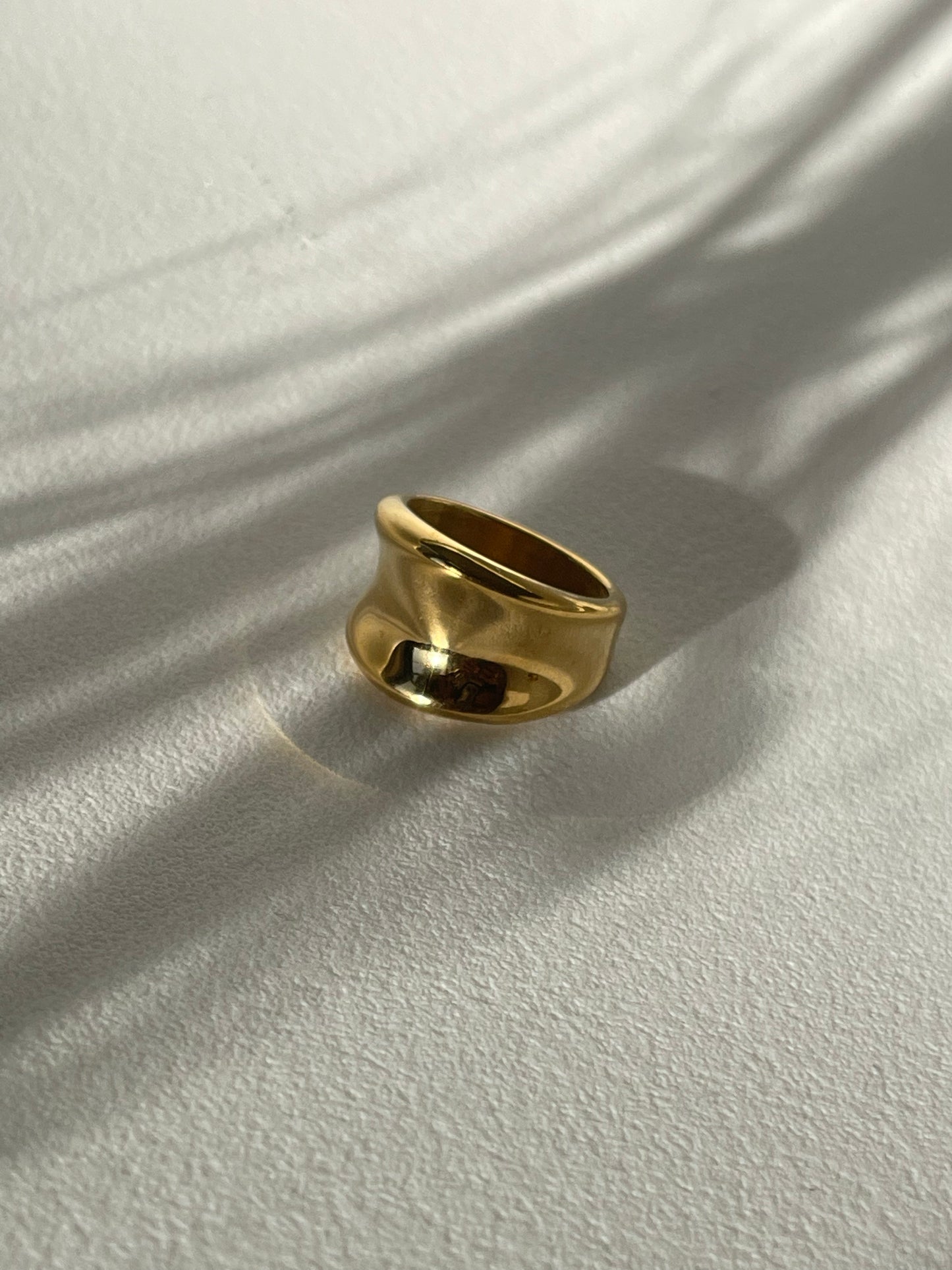 Dana Ditch Stainless Steel Ring In 18k Gold Plated