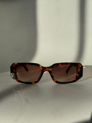 Tammy Square & Geo Sunglasses In Tortoise