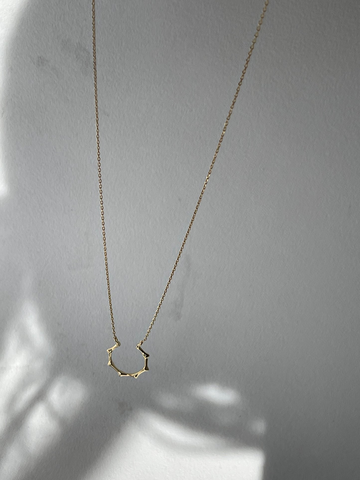 Crown 14k Gold Dipped Necklace