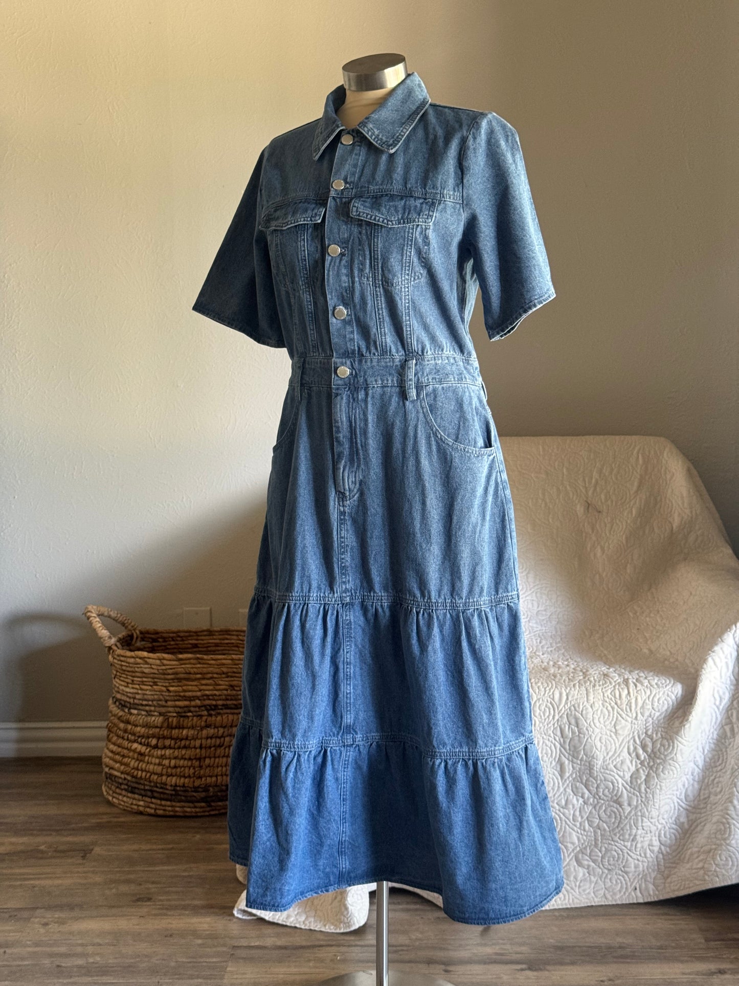 Phyllis Classic Button Front Denim Maxi Dress