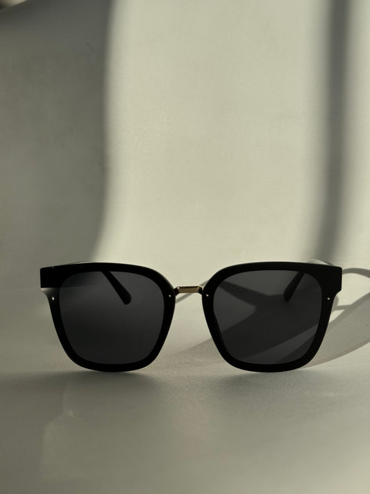 Kayla Sunglasses In Jet Black