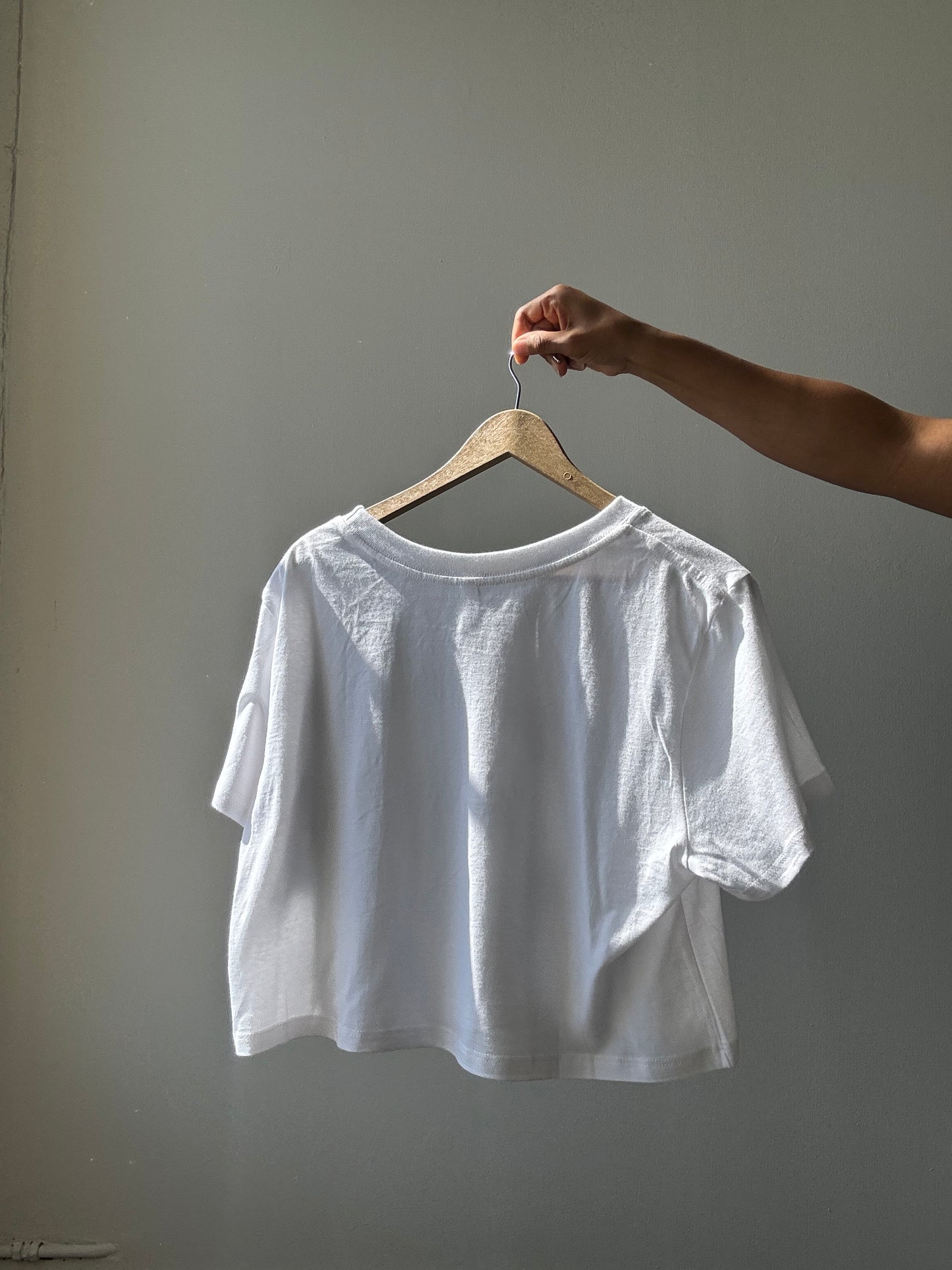 Dylan Classic Cotton Crop Tee In White