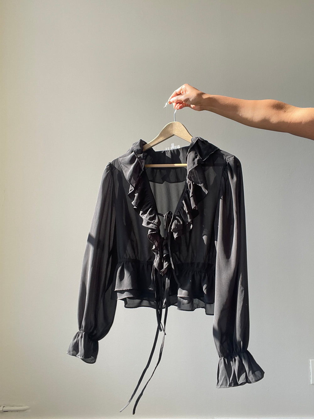 Carly Ruffle Sheer Balloon Sleeve Top In Black