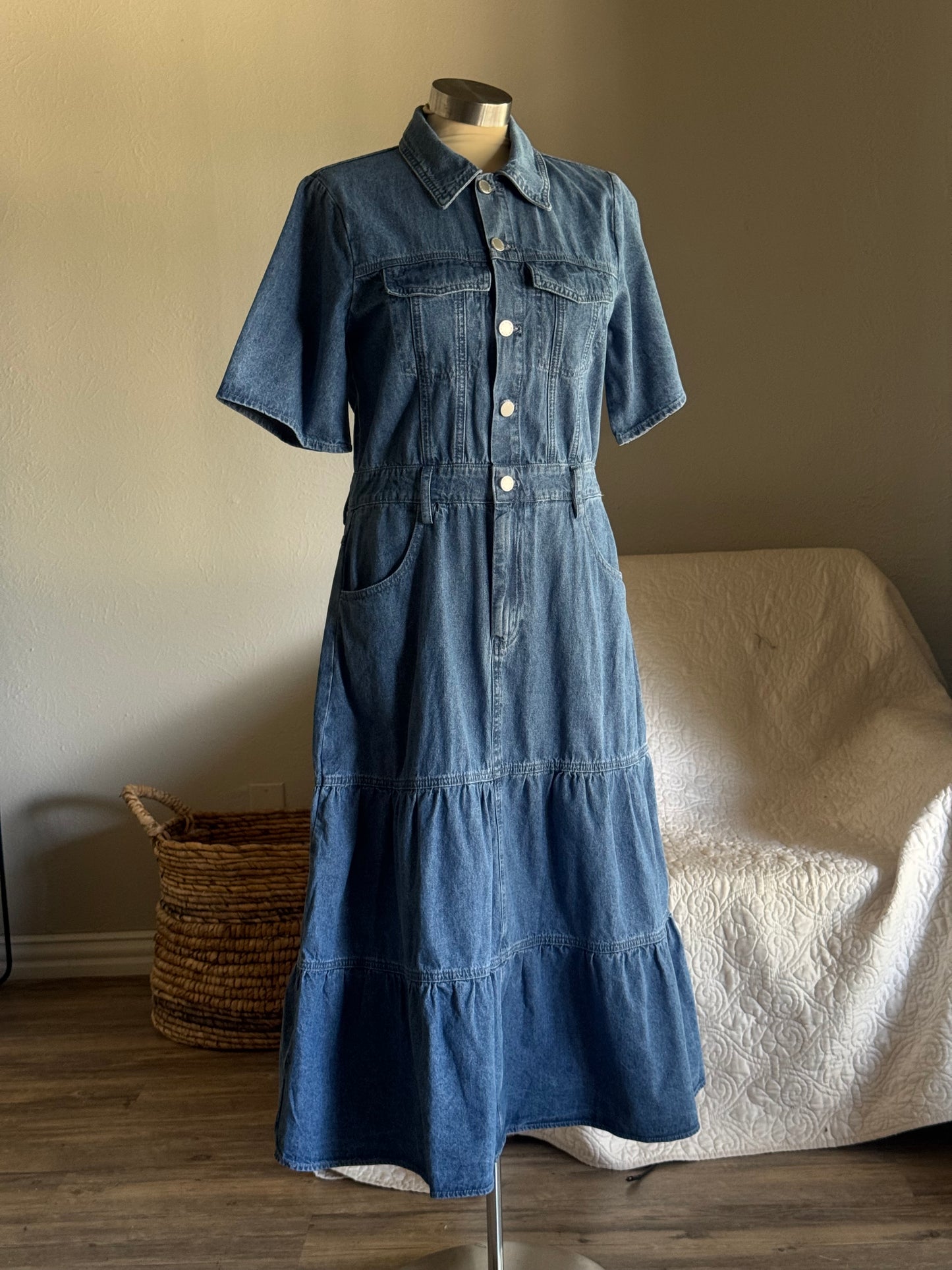 Phyllis Classic Button Front Denim Maxi Dress
