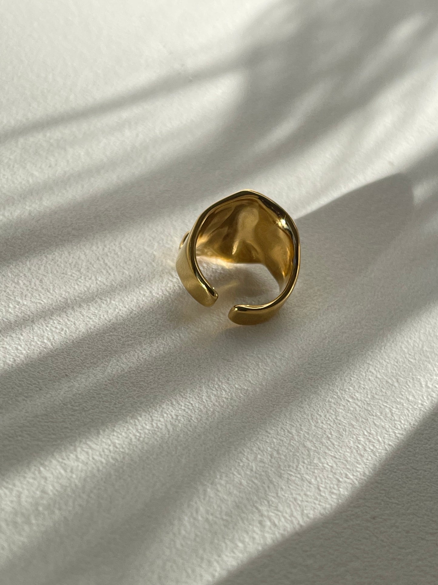 Colin Organic Stainless Steel Ring In 18k Gold Plated