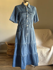 Phyllis Classic Button Front Denim Maxi Dress