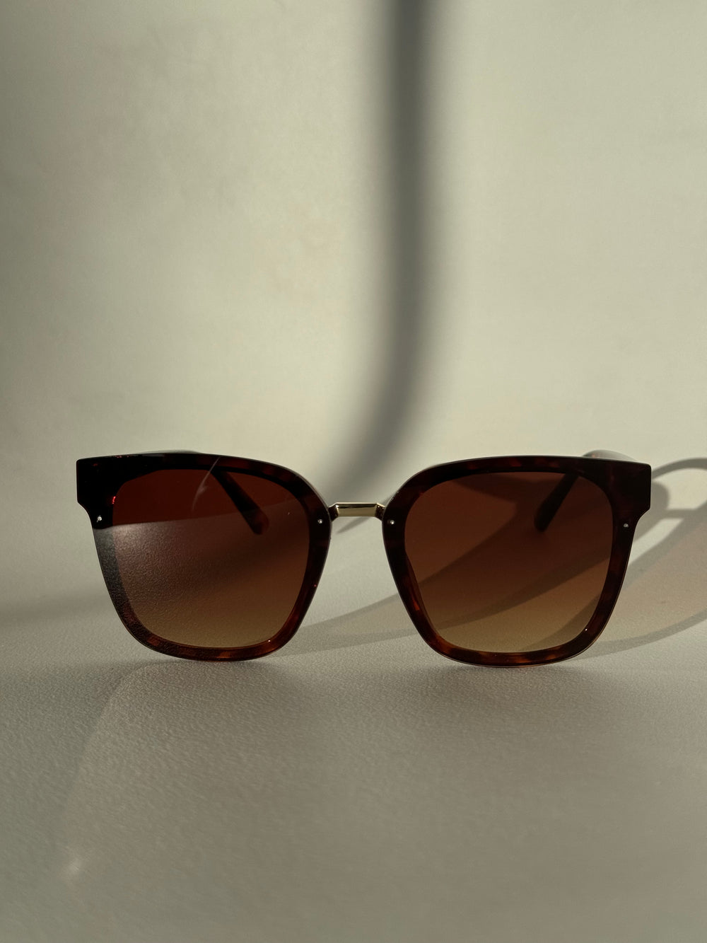 Kayla Sunglasses In Tortoise