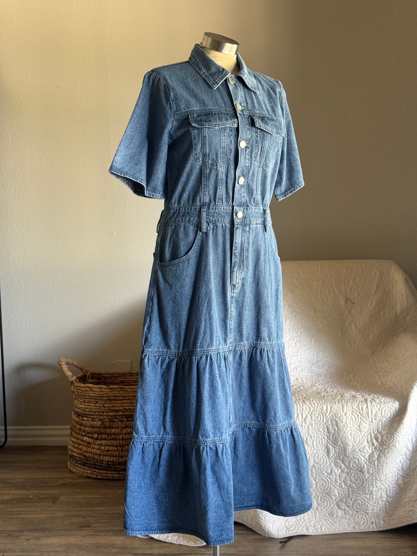 Phyllis Classic Button Front Denim Maxi Dress