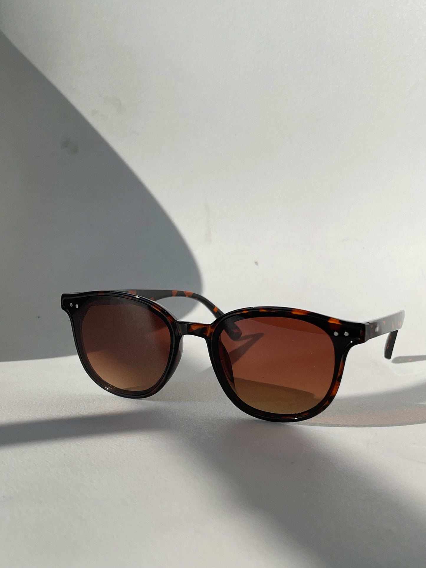 Abbey Classic 80s Style Double Stud Sunglasses In Tortoise