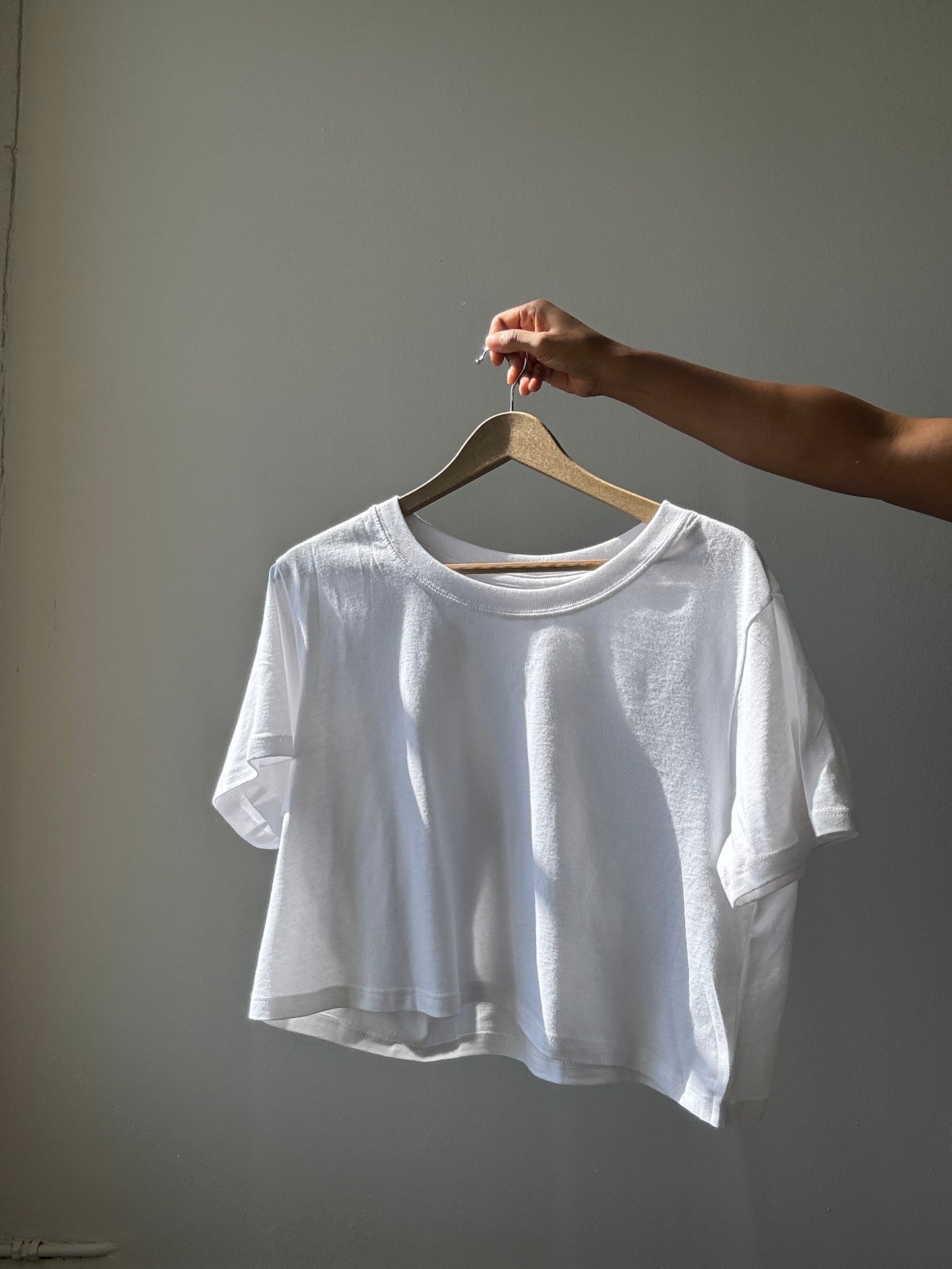 Dylan Classic Cotton Crop Tee In White