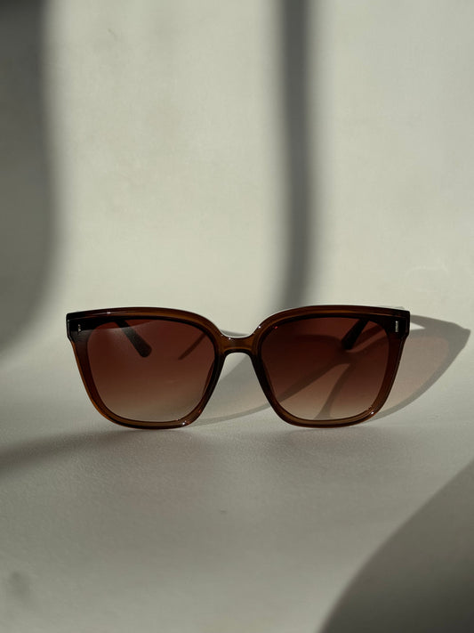 Barbell Sunglasses In Brown