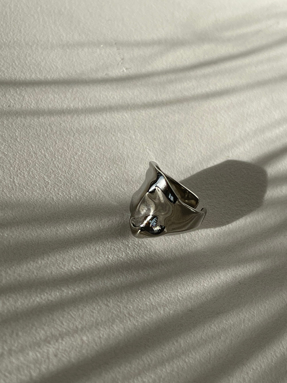 Colin Organic Stainless Steel Ring In Silver