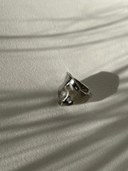 Colin Organic Stainless Steel Ring In Silver