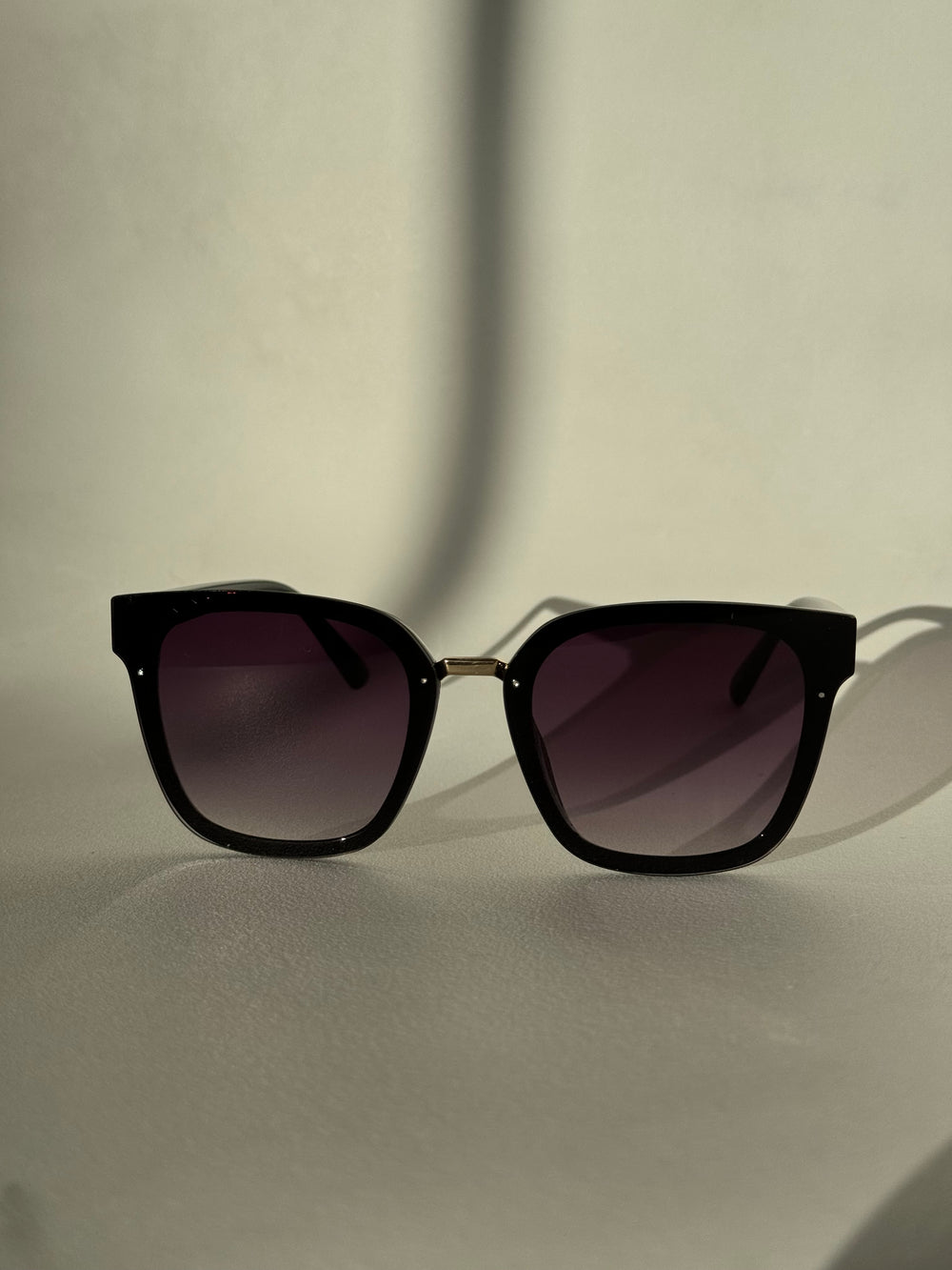 Kayla Sunglasses In Black Hombre