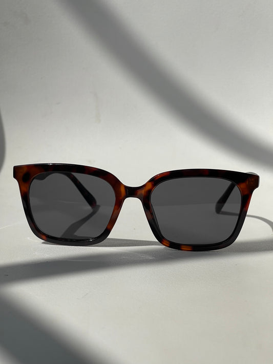 Fenya Classic Square Sunglasses In Tortoise