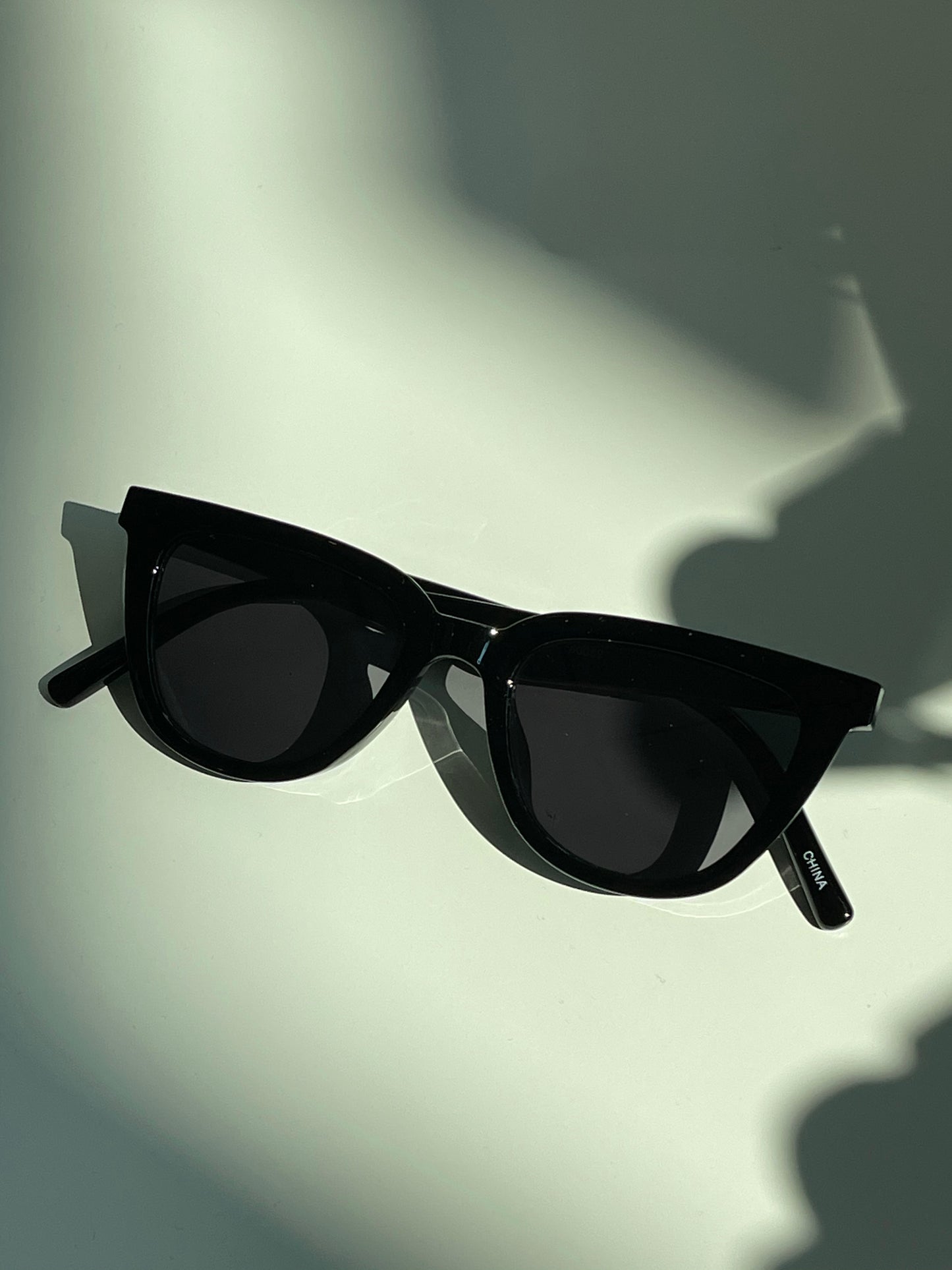 Regina Retro Square Sunglasses In Gloss Black