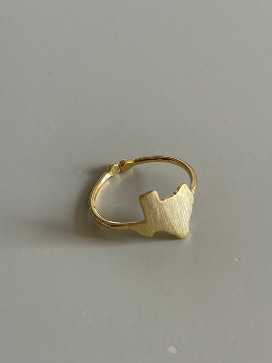 Texas State Ring In Gold
