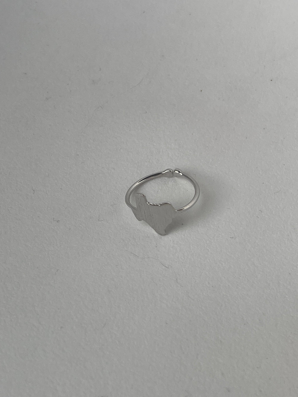 Texas State Ring In Silver