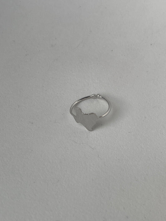 Texas State Ring In Silver